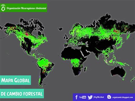 Qu Regiones Naturales Se Ven Afectadas Por La Deforestaci N Thedu