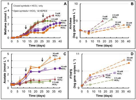 Methanogenesis And Homoacetogenesis During Active Evolvement Of Download Scientific Diagram