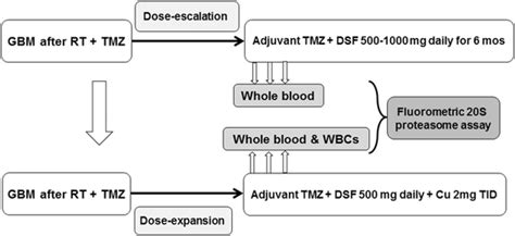 Schema Gbm Glioblastoma Rt Radiation Therapy Tmz Temozolomide Dsf