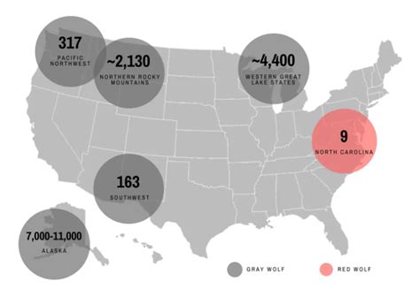 Gray Wolf Population Status Wolves In The State Of Oregon