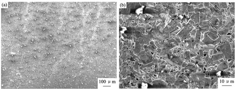 Surface Morphology Of Ybco Cold Rolled Thick Film A Surface