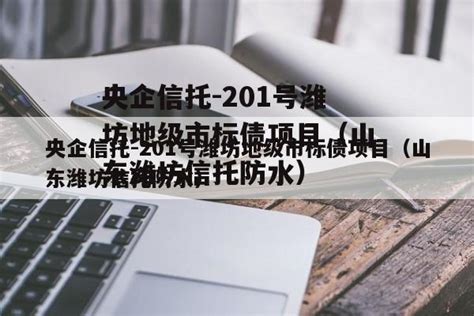 央企信托 201号潍坊地级市标债项目（山东潍坊信托防水） 城投定融网