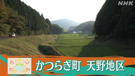 2023年10月30日 ギュギュっと和歌山 Nhk