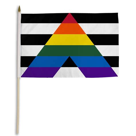 Gay Straight Ally Pride 12 X 18 Flag On A Stick