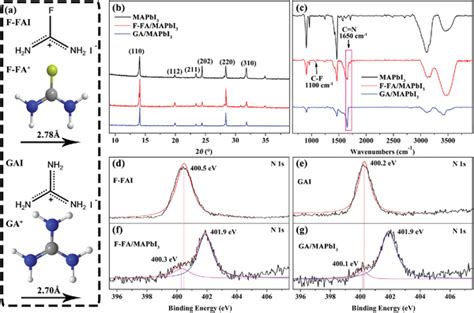 Crystallographic And Interaction Characterization A The Structures Of