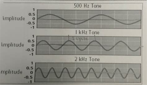 Characteristics of Sound Waves (Anatomy Exam #2) Diagram | Quizlet