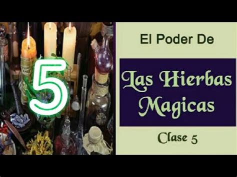 El Poder De Las Hierbas Magicas Clase 5 YouTube