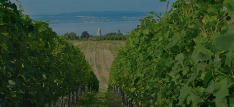 Weingut Krause Ihr Leidenschaftlicher Winzer Am Bodensee