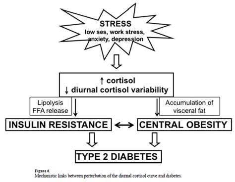 Dual Balkon Zustimmung Cortisol Diabetes Neun Tomate Aufeinanderfolgenden