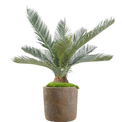 Cycas Artificiel Palmier En Pot