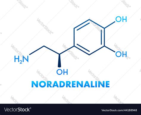 Noradrenaline Concept Chemical Formula Icon Label Vector Image