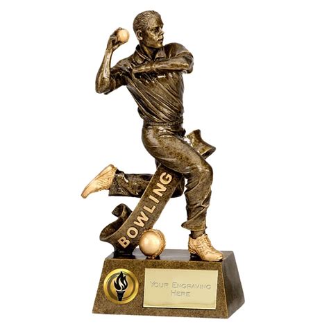 Pinnacle Cricket Bowler Award | Trophies2U