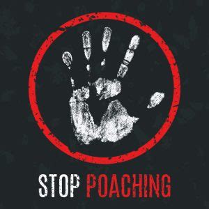 New Anti-Poaching Incentives - The Corvallis Advocate