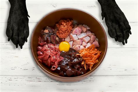 Сухой корм или натуралка — чем лучше кормить собак? Фото — Ботаничка