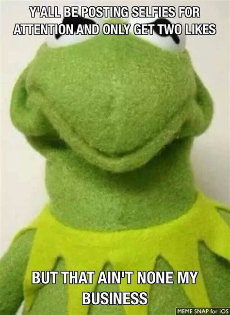 276 best images about Kermit MeMe Speaks on Pinterest