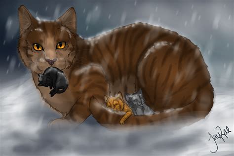 Leafpool And Crowfeather Kits