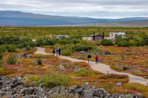 Arctic Circle Midnight Sun Drive Adventure Northern Alaska Tour Company