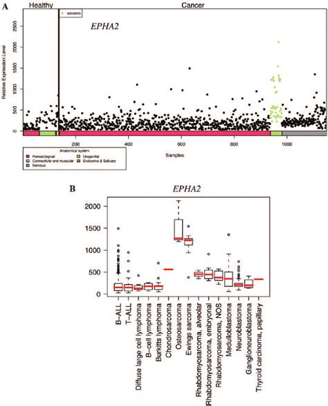 Expression Profile Of Epha2 In Pediatric Healthy And Cancer Tissues A