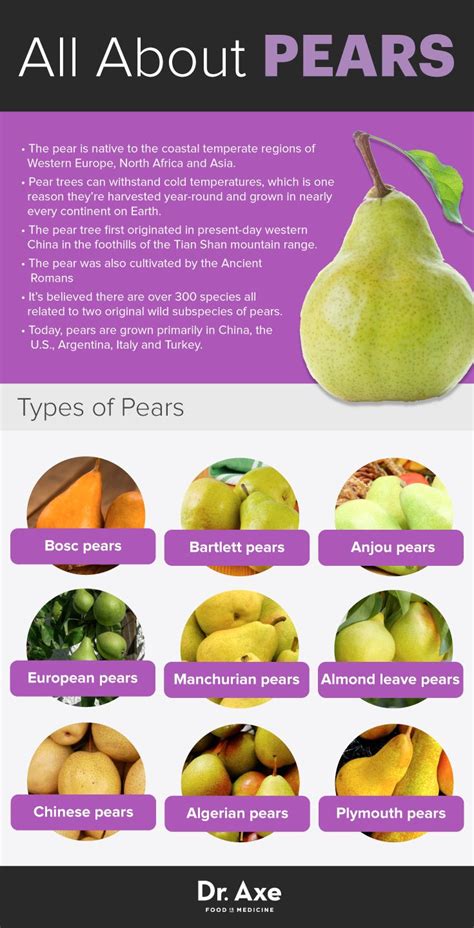 Die besten 25+ Pear nutrition Ideen auf Pinterest