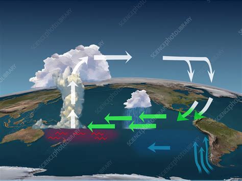 La Nina, illustration - Stock Image - C057/3864 - Science Photo Library