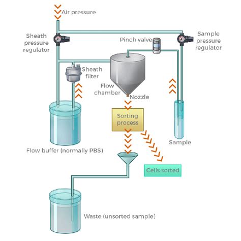 ways   facs   approachable topic  students