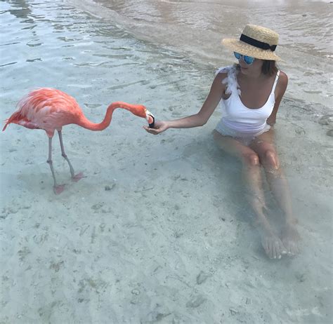 How to Visit Flamingo Beach - Planes, Trains and Champagne