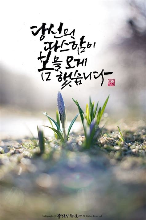 봄 캘리그라피 성경 인용구 손글씨 봄 꽃