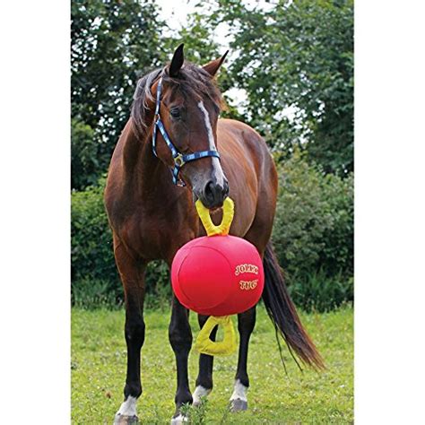 Best Horse Toys to Keep Your Horse Entertained and Stimulated