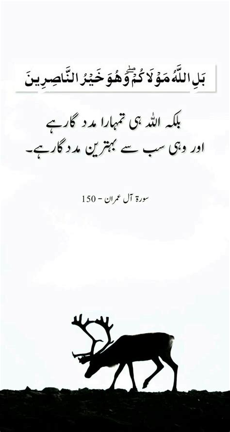 Best Urdu Lines Arabic Verses