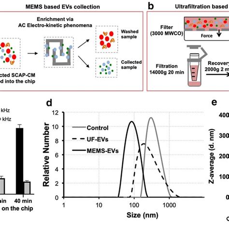 The Principles Of Evs Enrichment Approaches A Mems Based Evs