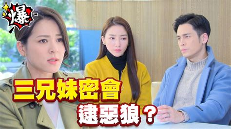 三兄妹密會 逮惡狼？《多情城市 Ep365精采片段》｜四季線上4gtv