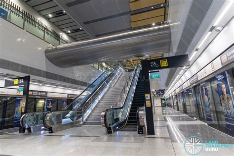 Gardens By The Bay MRT Station Escalators Stairs To Concourse Level