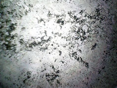 Раскоксовка от Лавр Экспресс — УАЗ Patriot, 2,7 л, 2017 года | своими ...