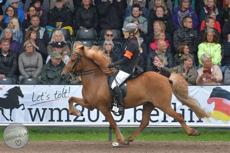 Islandpferde Weltmeisterschaft Stiane S Welt