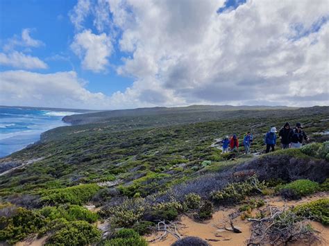 Kangaroo Island Wilderness Trail, Tour Service | South Australia