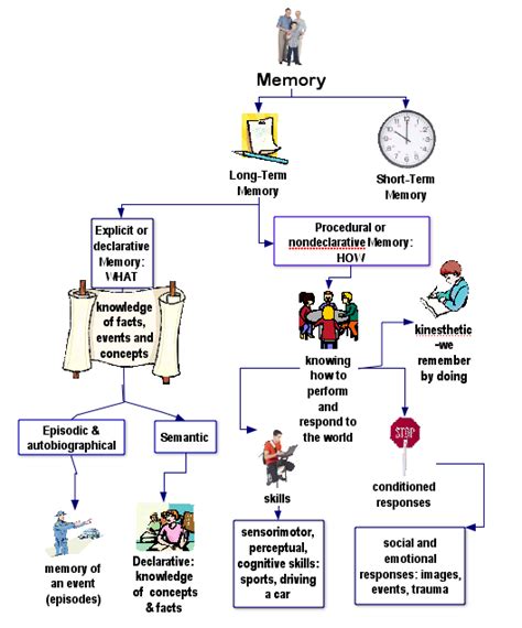 Memory Disorders; Memory Loss