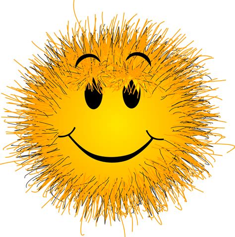 Flauschige Haar Smiley Kostenlose Vektorgrafik Auf Pixabay