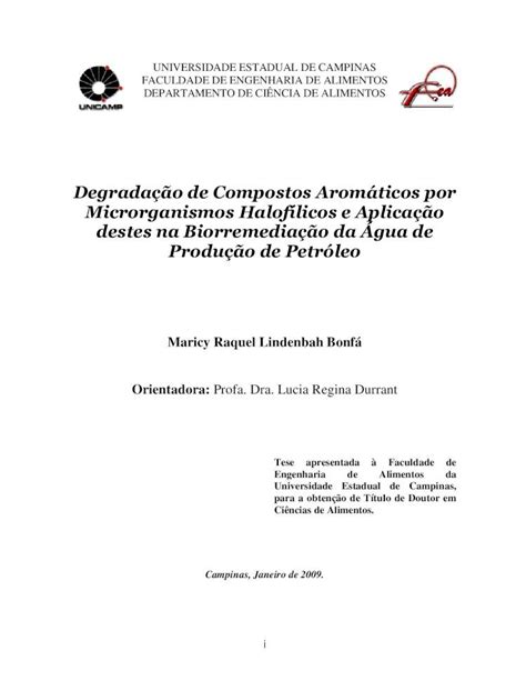 Pdf Degrada O De Compostos Arom Ticos Por Microrganismos