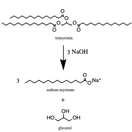 Structure Of Trimyristin