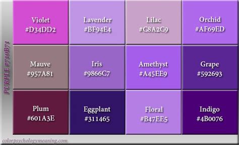 Difference Between Violet And Purple Colour