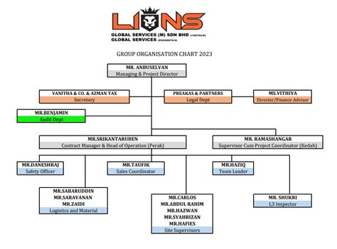 About Us Lions Global Services Scaffolding Partner