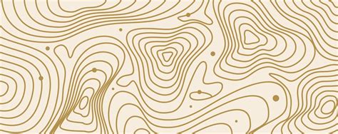 Topographic Map Contour In Line And Contour Illustration Vector