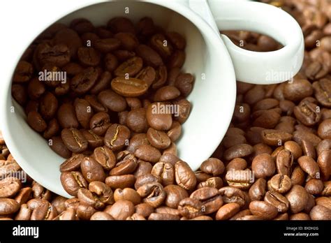 A White Cup Surrounded And Partly Filled With Coffee Beans Stock Photo