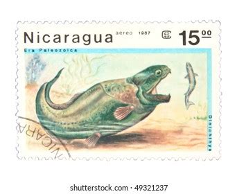 Nicaragua Circa Stamp Printed Nicaragua Stock Photo