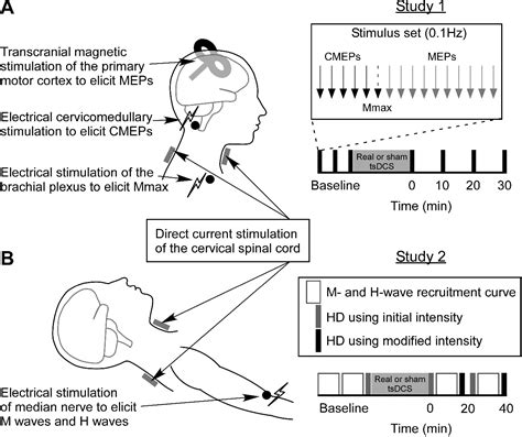 Figure From The Effects Of Cervical Transcutaneous Spinal Direct