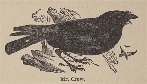 “Mr. Crow.” Plodding Turtle’s story. 1906. S Stories, Crow, Turtle, Moose Art, Illustrations ...