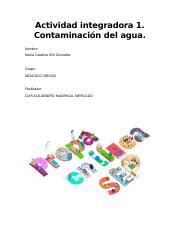 Actividad integradora 1 Contaminación del agua docx Actividad