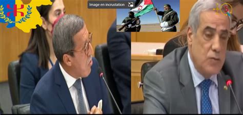 Passe Darme Entre Lalgérie Et Le Maroc à Lonu La Question Kabyle