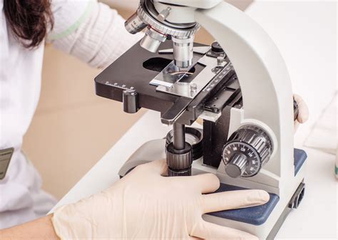 Dog Fecal Testing: FAQ’s and Answers - Lemonade Pet