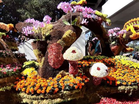 Panagbenga Festival In Baguio Experience Its Vibrant Beauty Travels